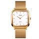 Skmei 1555SGD Gold 1080-2395 фото 1
