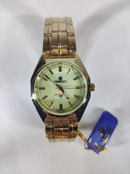 Годинник чоловічий Perfect PR100209 PR100209 фото