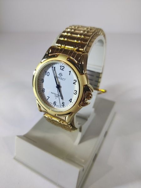 Годинник чоловічий Perfect PR100211 PR100211 фото