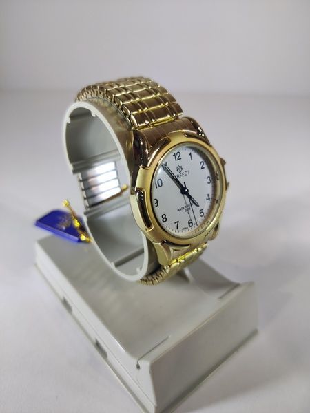Годинник чоловічий Perfect PR100211 PR100211 фото