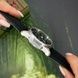 Awarder Embroidery Silver-Green Black Battery 10ATM 1202-0003 фото 7