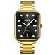 Skmei 1954GDBK-SP Gold-Black Sun Pattern SALE 1080-1559 фото 1