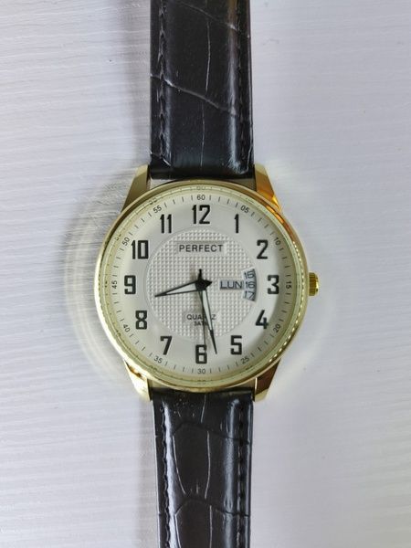 Чоловічий годинник Perfect PR060204 PR060204 фото