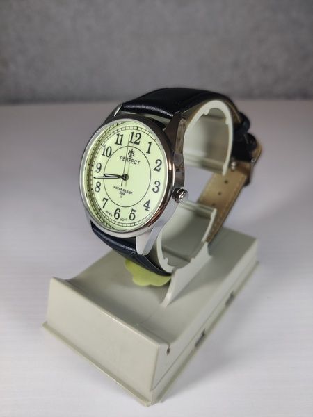 Годинник чоловічий Perfect PR261108 PR261108 фото