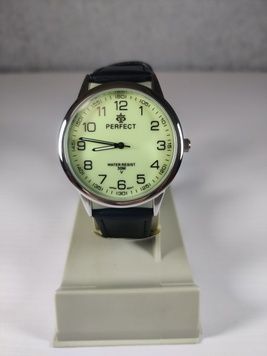 Годинник чоловічий Perfect PR261109 PR261109 фото