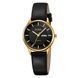 Skmei 2251GDBK Gold-Black 1080-2594 фото 1