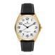 Годинник чоловічий Perfect PR130734 130734 фото 1