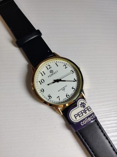 Годинник чоловічий Perfect PR41906 PR41906 фото