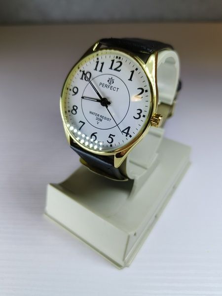 Годинник чоловічий Perfect PR060216 PR060216 фото