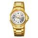 Skmei 9320GDSI Gold-Silver 1080-2943 фото 1