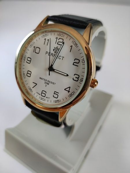 Чоловічий годинник Perfect PR32204 PR32204 фото