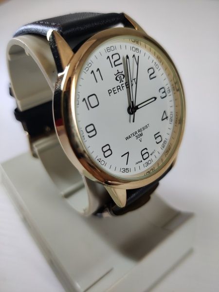 Чоловічий годинник Perfect PR32204 PR32204 фото