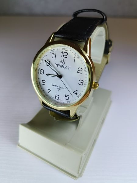 Годинник чоловічий Perfect PR060217 PR060217 фото