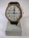 Чоловічий годинник Perfect PR32204 PR32204 фото 1