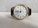 Чоловічий годинник Perfect PR32204 PR32204 фото 4
