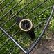 Sanda 6012 Black-Gold 1044-0032 фото 4