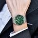 Pagani Design PD-1617 Silver-Green 1138-0019 фото 4