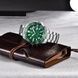 Pagani Design PD-1617 Silver-Green 1138-0019 фото 3
