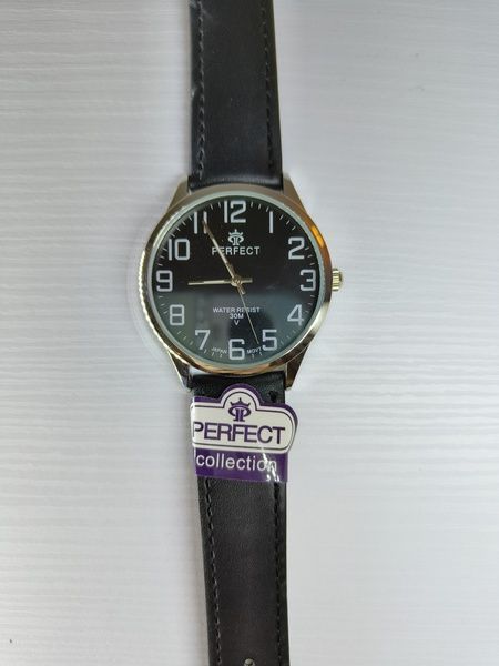 Годинник чоловічий Perfect PR060219 PR060219 фото