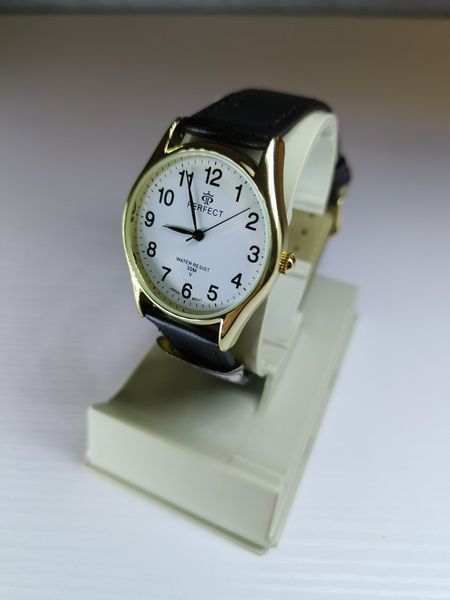 Годинник чоловічий Perfect PR060220 PR060220 фото