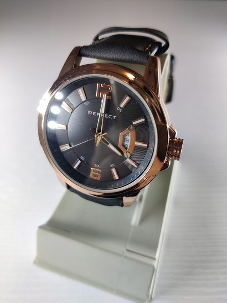 Годинник чоловічий Perfect PR100240 PR100240 фото